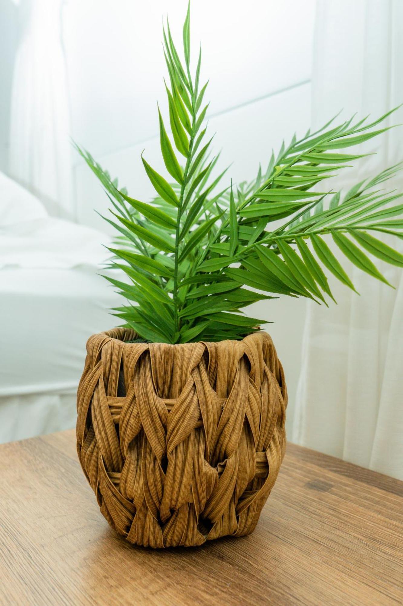 Puesta Del Sol Guest House San Andres  Ngoại thất bức ảnh