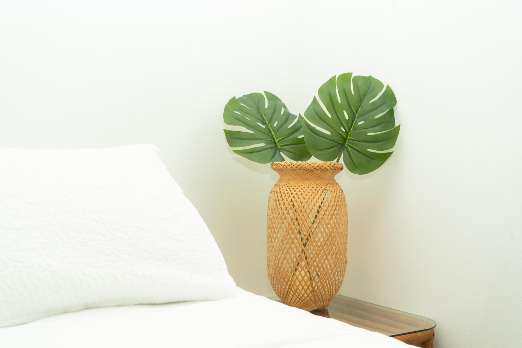 Puesta Del Sol Guest House San Andres  Ngoại thất bức ảnh